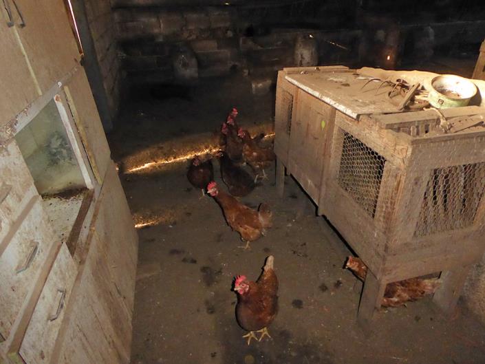 Image No.48-4 Bed Country House for sale