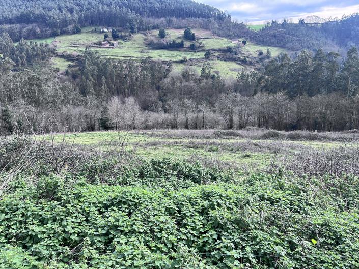 Image No.28-1 Bed Finca for sale