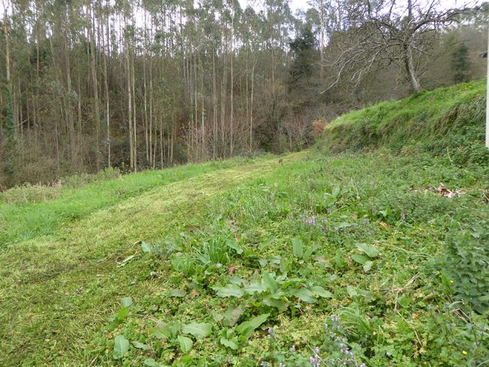 Image No.37-2 Bed Apartment for sale