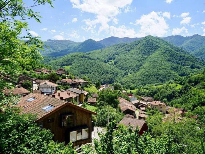 Image No.52-3 Bed Country House for sale