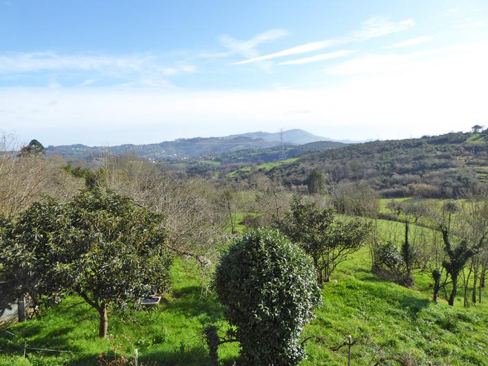 Image No.39-4 Bed Country Property for sale