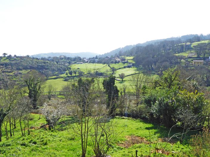 Image No.55-4 Bed Country Property for sale