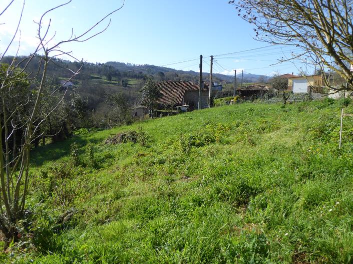 Image No.56-4 Bed Country Property for sale