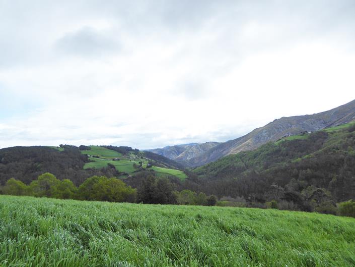 Image No.45-5 Bed Country Property for sale