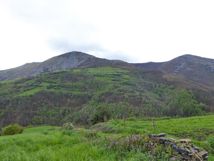 Image No.46-5 Bed Country Property for sale