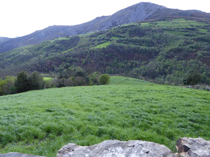 Image No.47-5 Bed Country Property for sale