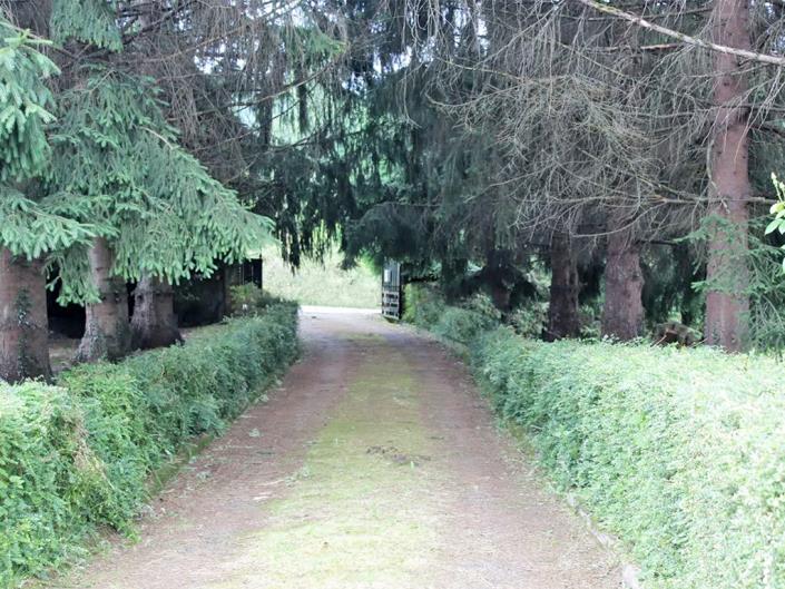 Image No.40-5 Bed Country Property for sale