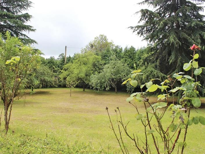 Image No.43-5 Bed Country Property for sale