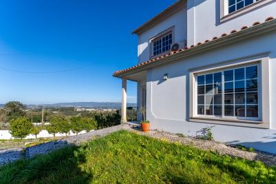 View-from-the-front-yard