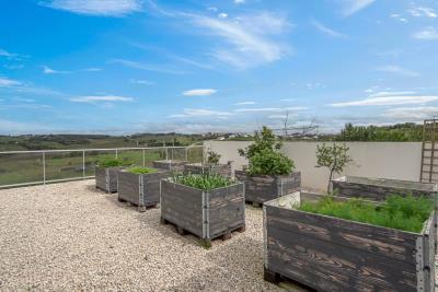 Ecological-garden