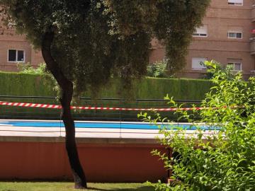 IMG-20241104-WA0007