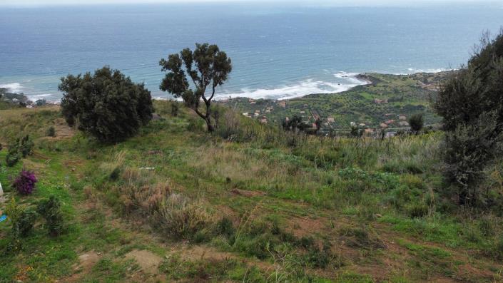 Image No.3-Land for sale