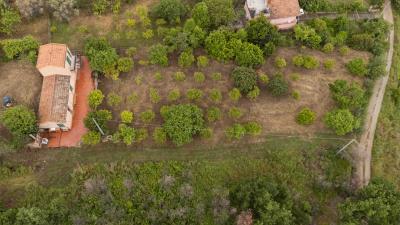 V588-villa-indipendente-in-c-da-Rapputi-tra-ulivi-secolari-e-colline-siciliane---1-