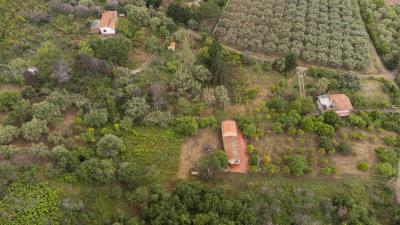 V588-villa-indipendente-in-c-da-Rapputi-tra-ulivi-secolari-e-colline-siciliane---5-