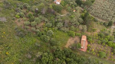 V588-villa-indipendente-in-c-da-Rapputi-tra-ulivi-secolari-e-colline-siciliane---6-