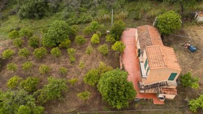 V588-villa-indipendente-in-c-da-Rapputi-tra-ulivi-secolari-e-colline-siciliane---11-