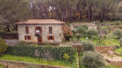 V569-ampia-proprieta-immersa-nel-verde---1-