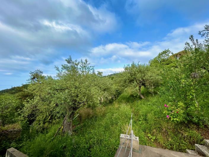 Image No.38-House for sale