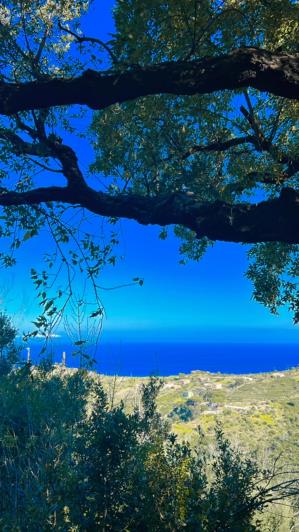 Image No.4-Terre à vendre à Cefalù