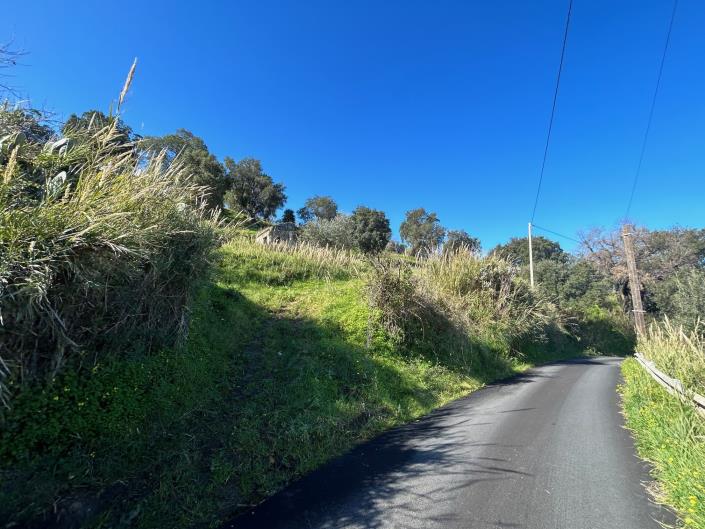 Image No.6-Terre à vendre à Cefalù