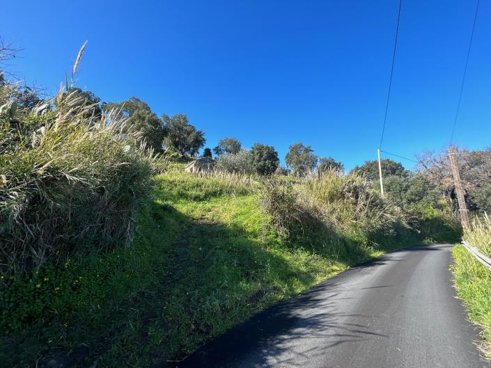 Image No.7-Terre à vendre à Cefalù