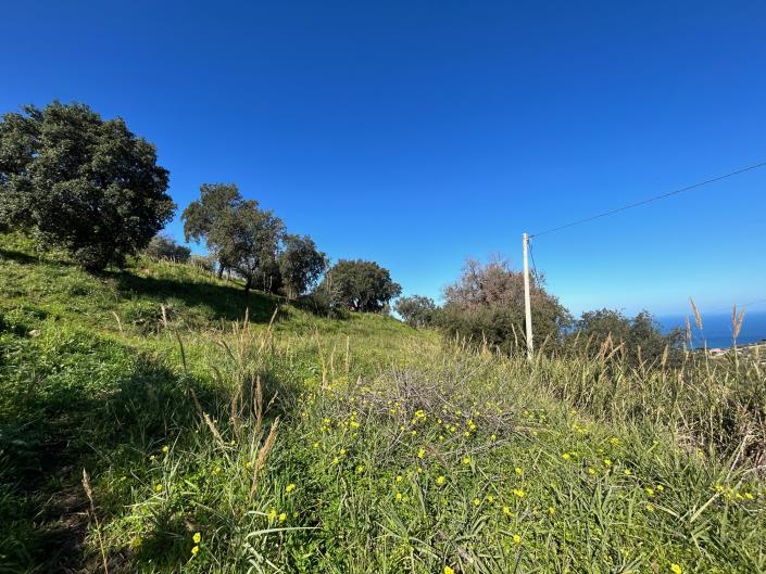 Image No.8-Terre à vendre à Cefalù