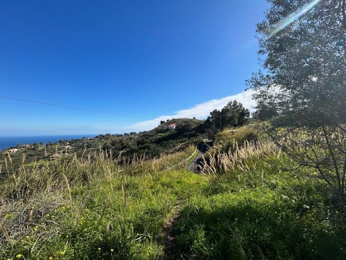 Image No.10-Terre à vendre à Cefalù