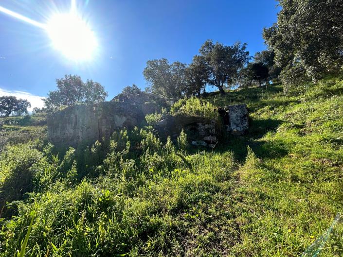 Image No.12-Terre à vendre à Cefalù