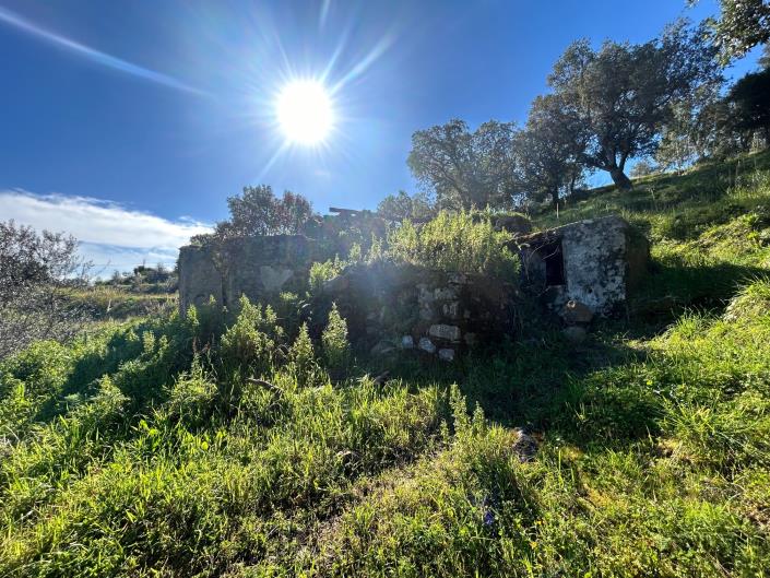 Image No.13-Terre à vendre à Cefalù