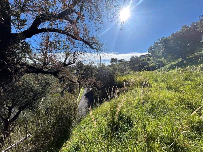 Image No.14-Terre à vendre à Cefalù