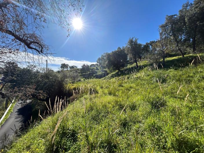 Image No.15-Terre à vendre à Cefalù