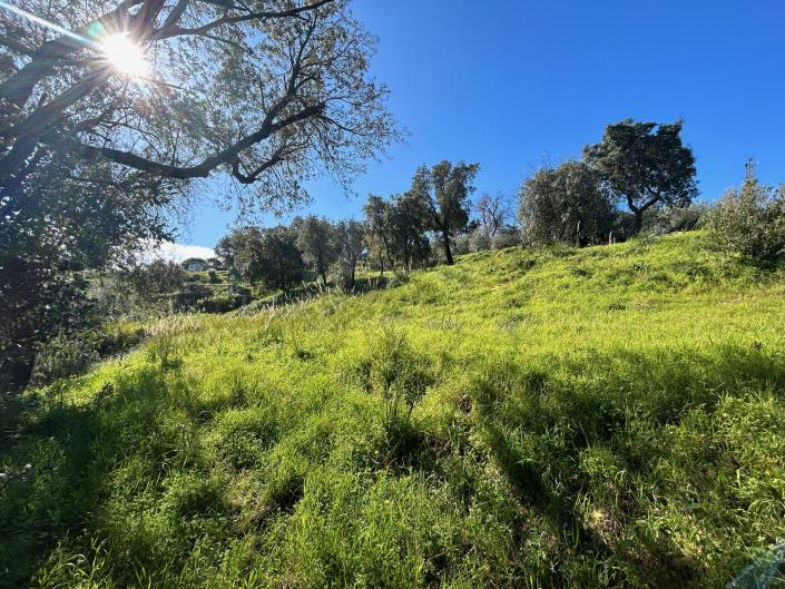 Image No.16-Terre à vendre à Cefalù