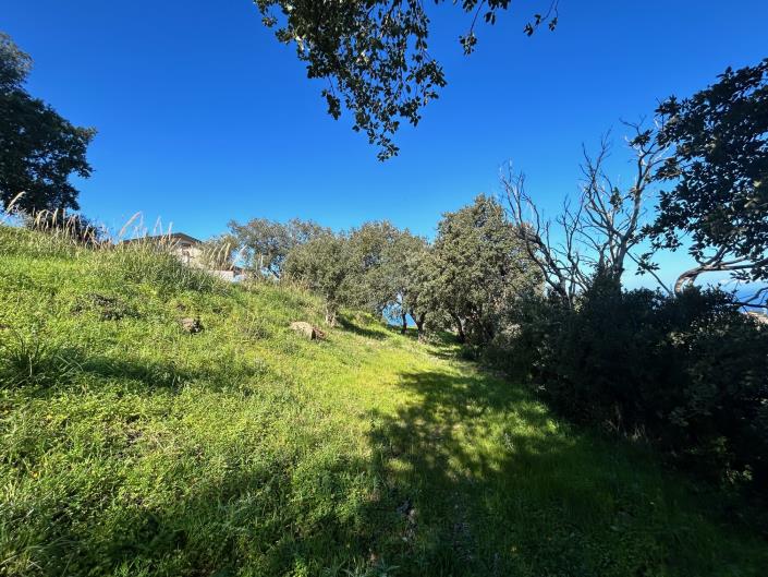 Image No.17-Terre à vendre à Cefalù