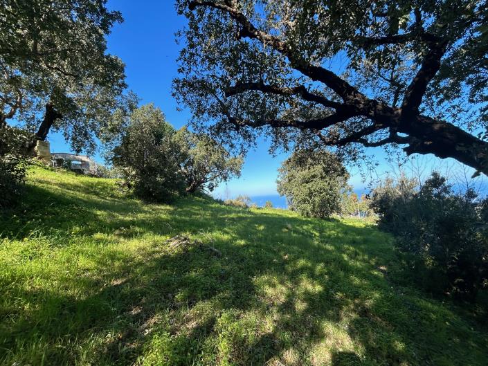 Image No.2-Terre à vendre à Cefalù