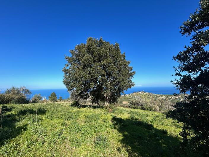 Image No.19-Terre à vendre à Cefalù