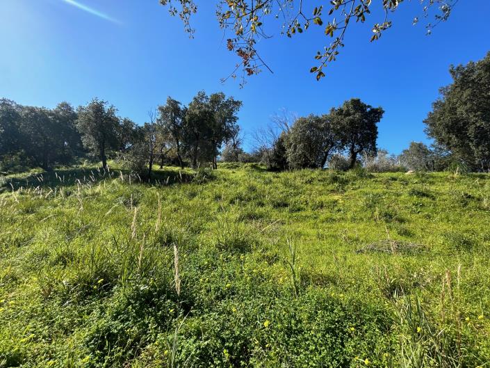 Image No.20-Terre à vendre à Cefalù