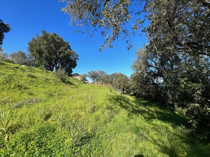 Image No.21-Terre à vendre à Cefalù