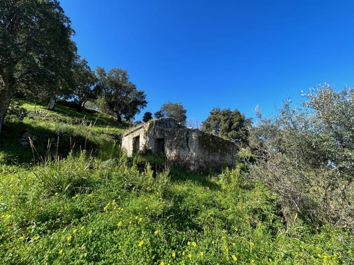 Image No.22-Terre à vendre à Cefalù