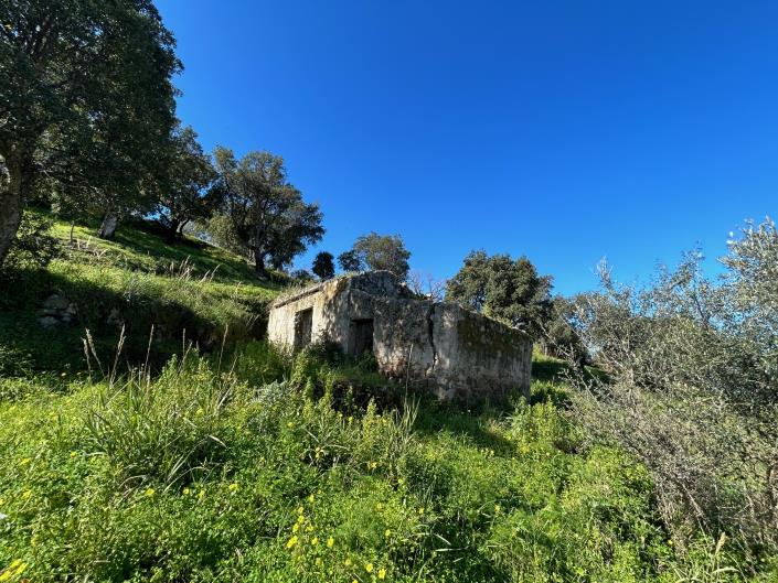 Image No.23-Terre à vendre à Cefalù