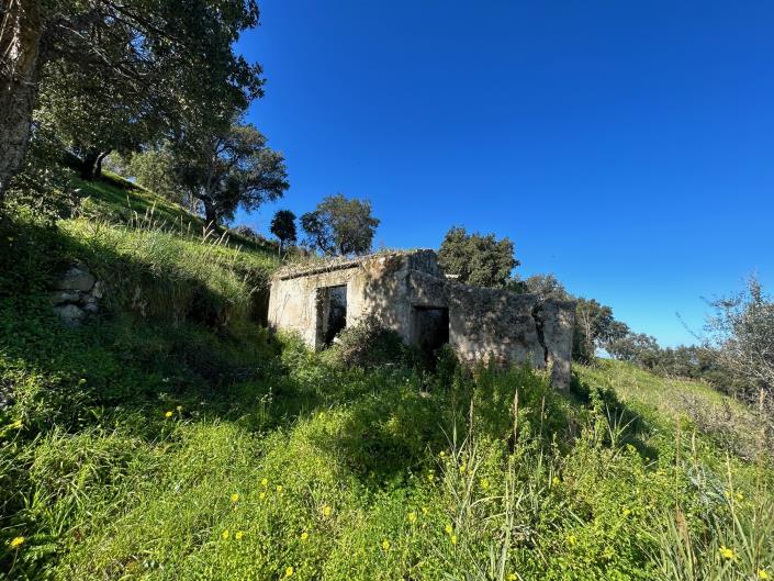 Image No.1-Land for sale