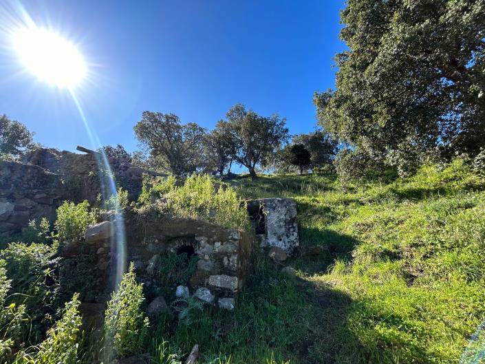 Image No.24-Terre à vendre à Cefalù