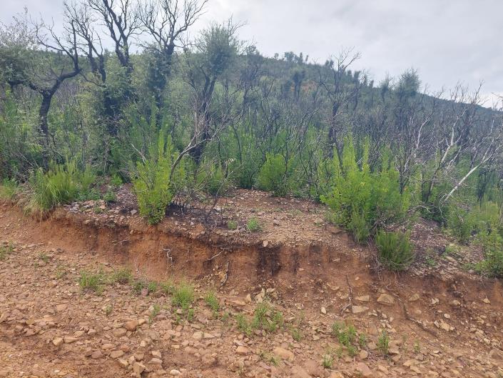 Image No.4-Terre à vendre à Cefalù