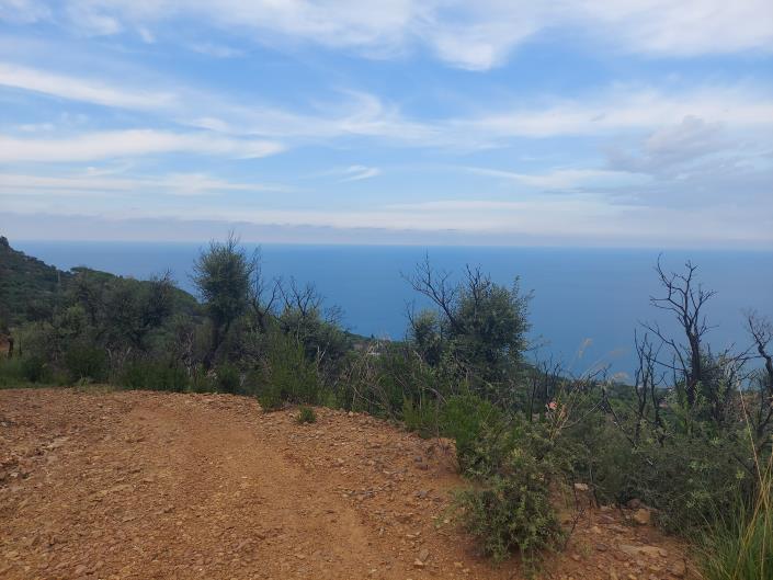 Image No.8-Terre à vendre à Cefalù