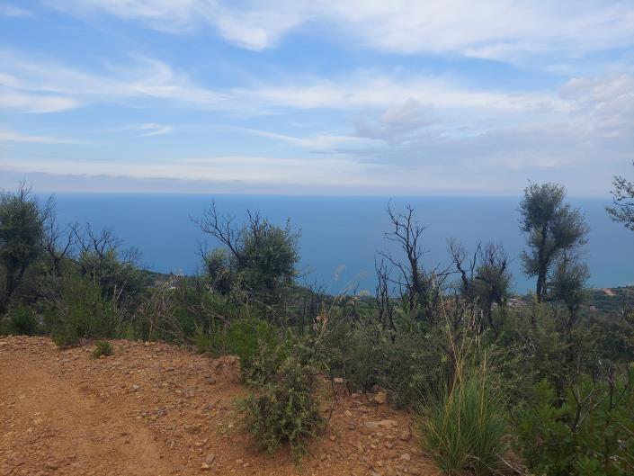 Image No.9-Terre à vendre à Cefalù