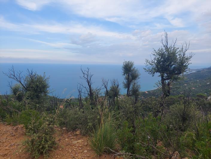 Image No.10-Terre à vendre à Cefalù