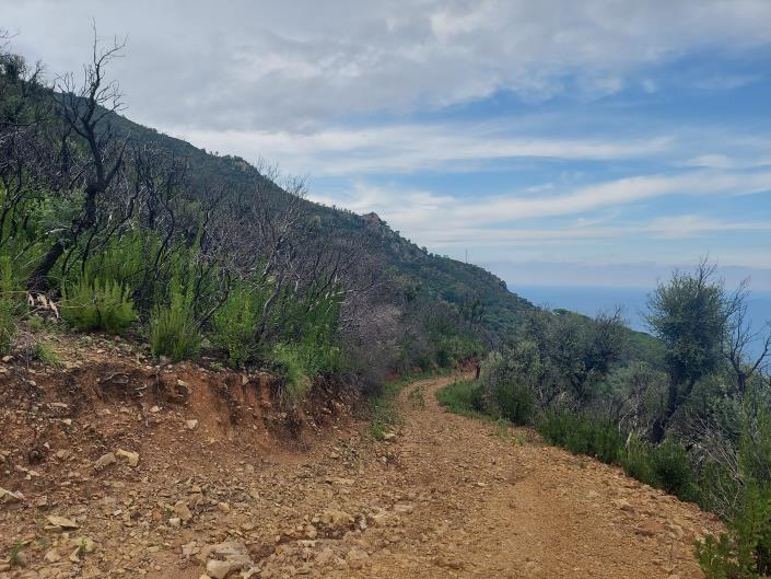 Image No.1-Land for sale