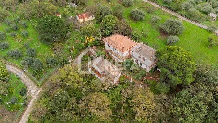 Image No.4-8 Bed Villa for sale
