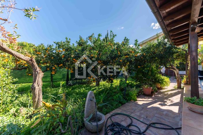 Image No.9-3 Bed Villa for sale