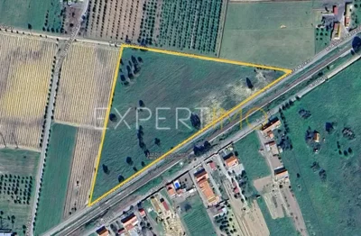 1 - Montijo, Land