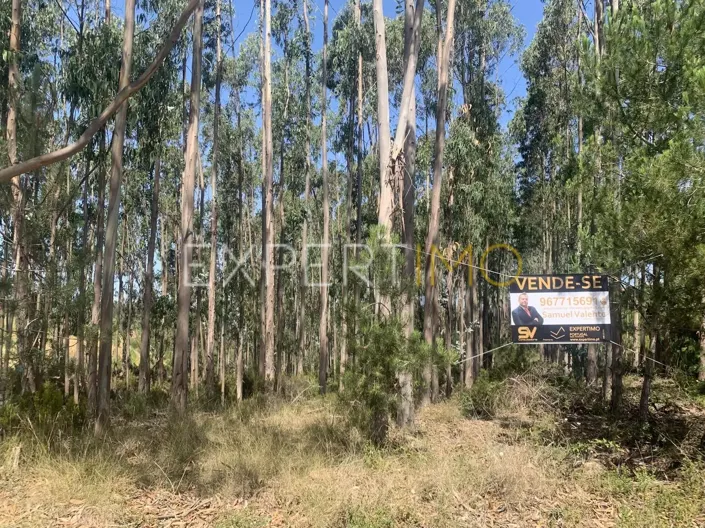 Image No.4-Land for sale